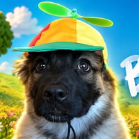 BENSON logo