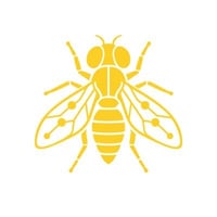 Fly Commons
