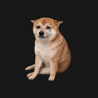 Cash Dog