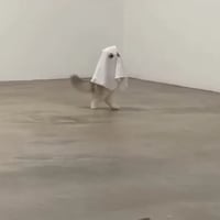BOO logo