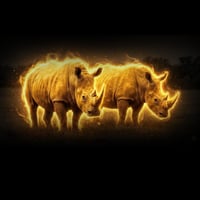 The last 2 Rhinos