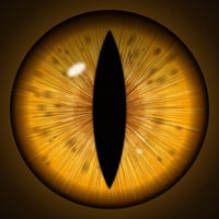 INSTINCT logo