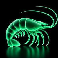 FUND logo