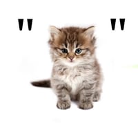 "CAT" logo