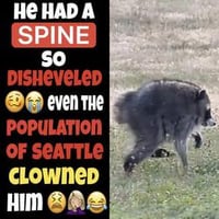 shorting coins shorting spines