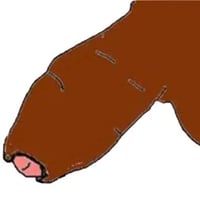 foreskin