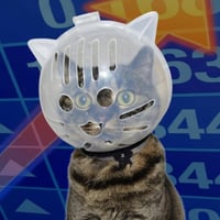 Cat With Mask