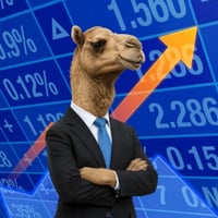 The Camel Market