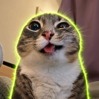Rigby the Cat