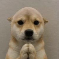 dogwifoutsupply