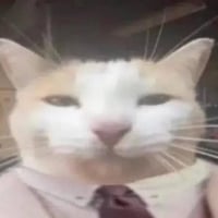 Logo de Quant Cat