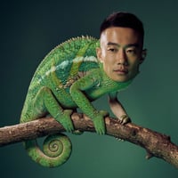 The Perpetual Chameleon