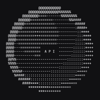 API Token