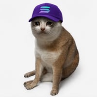 solana cat