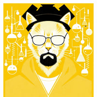 Heisencat