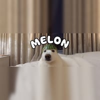 Melon Dog