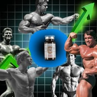 TESTOSTERONE