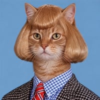 Jean Cat