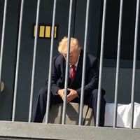 Donald Jailed Trump
