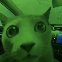 Market Cat