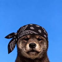 Nigga Inu