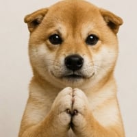 dogwifoutsupply