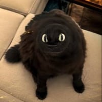 Nitro