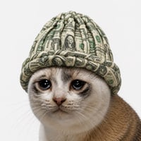 cat wif cash
