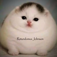 Rotundomus Johnson