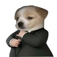 doginasuit