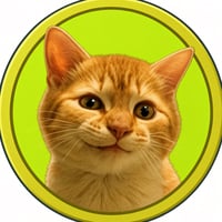 §{project.tokenName} project token, view analysis on Boostexplorer