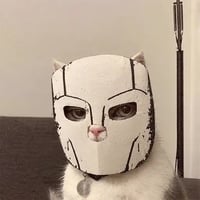 MASKCAT