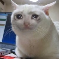 CRYING CAT