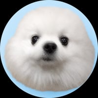 Durovs Dog