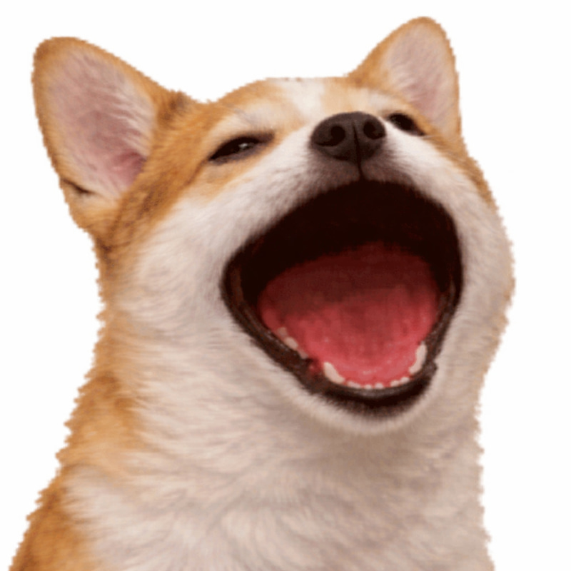 2DhnGmwu14KHLBxhKcvLR9XV4uZ6DzQJtducmtbzBAGS