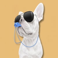 DOGWHISTLE logo