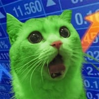 BullishCat