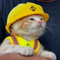 施工猫