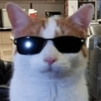 coolcat logo
