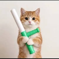 caton