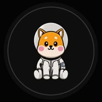 Asteroid Shiba