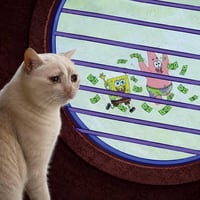 SIDELINED CAT