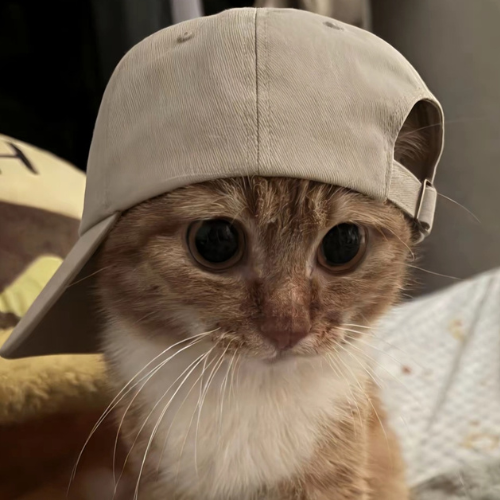 QT5pHWLS4DNe2s1PZDLWEjKn4rDXNqnk9D7AWe57cap