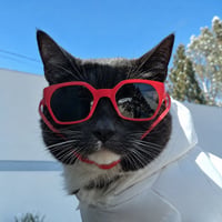 SunglassCat