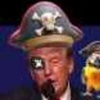 pirate of the united states logo