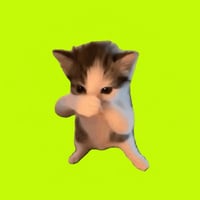 Scuba Cat