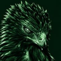 NEST EAGLE