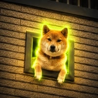 windoge