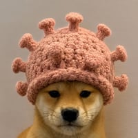dogwifhanta