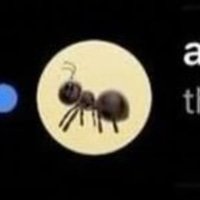 ANThropic
